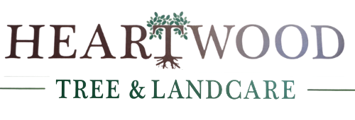 A blurry picture of the word logo on a white background.