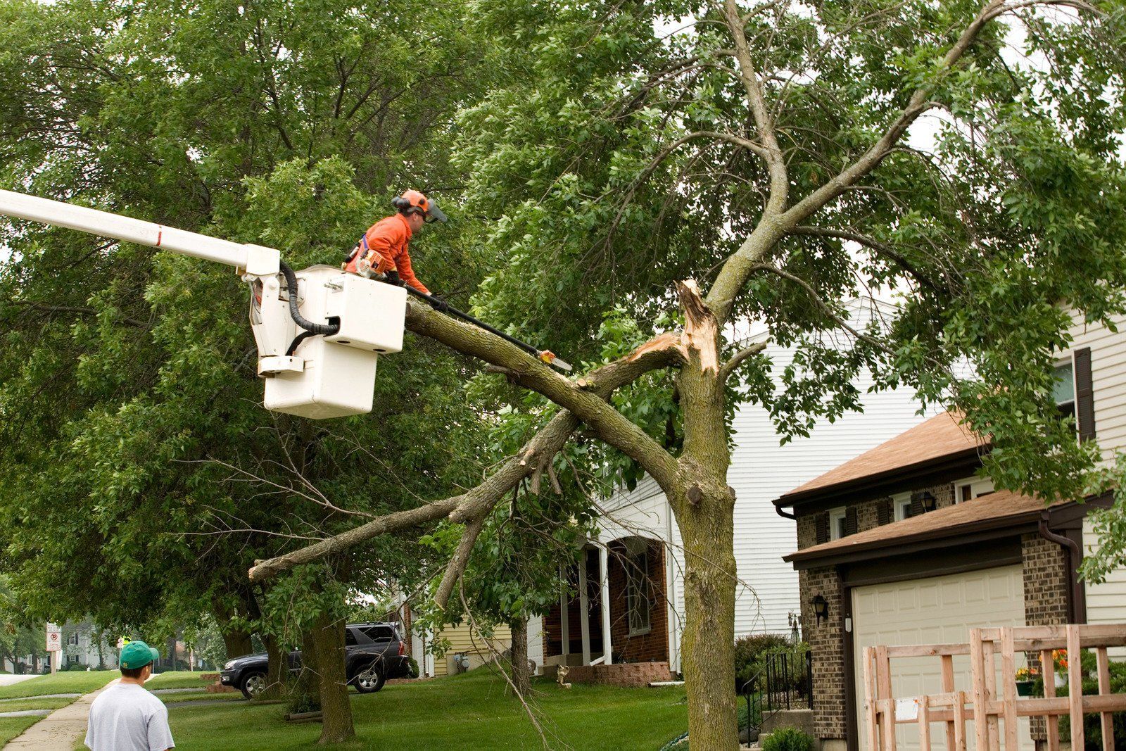 A tree service truck with a worker in the bucket trimming a tree in a wooded area.