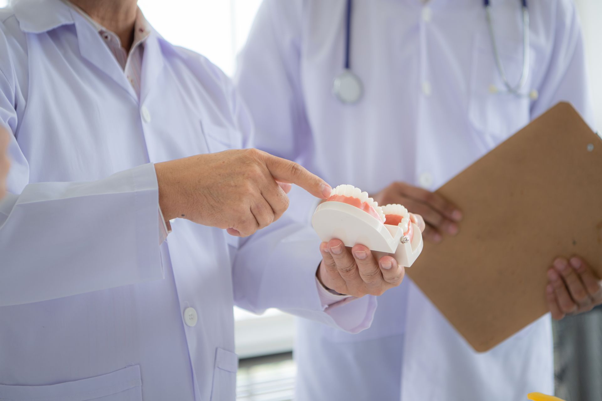 Two people in lab coats examining a model of teeth and gums. One points to the model.