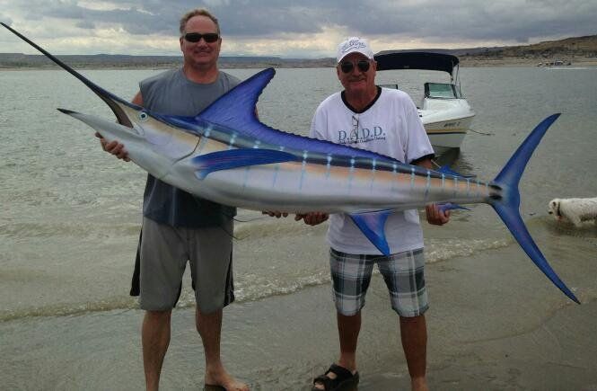 Spending Summer with the Whole Team — Albuquerque, NM — McDonald Electric