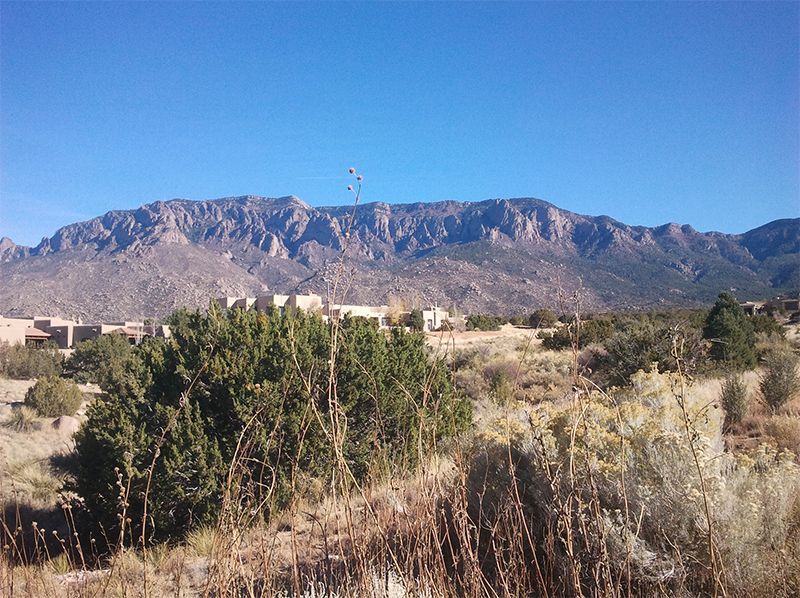 Albuquerque Mountains and Grass Field — Albuquerque, NM — McDonald Electric