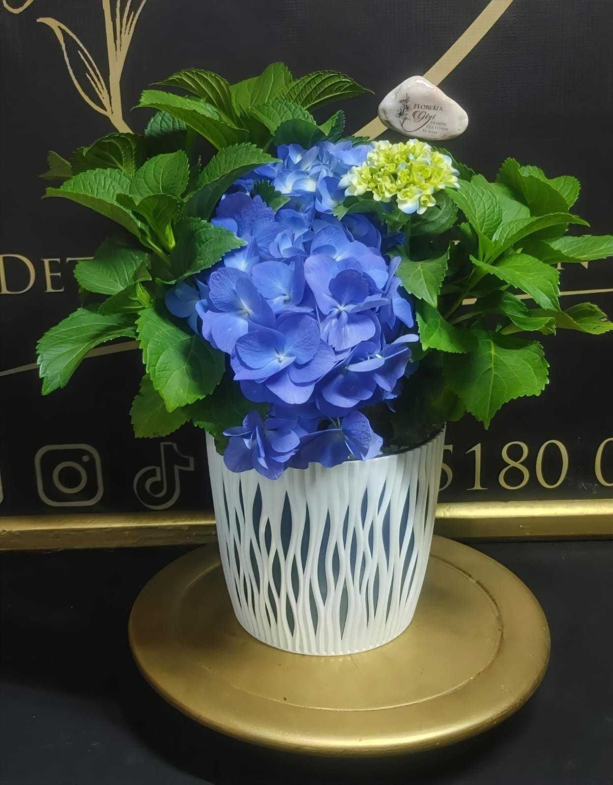 Floreria gigi- arreglos naturales