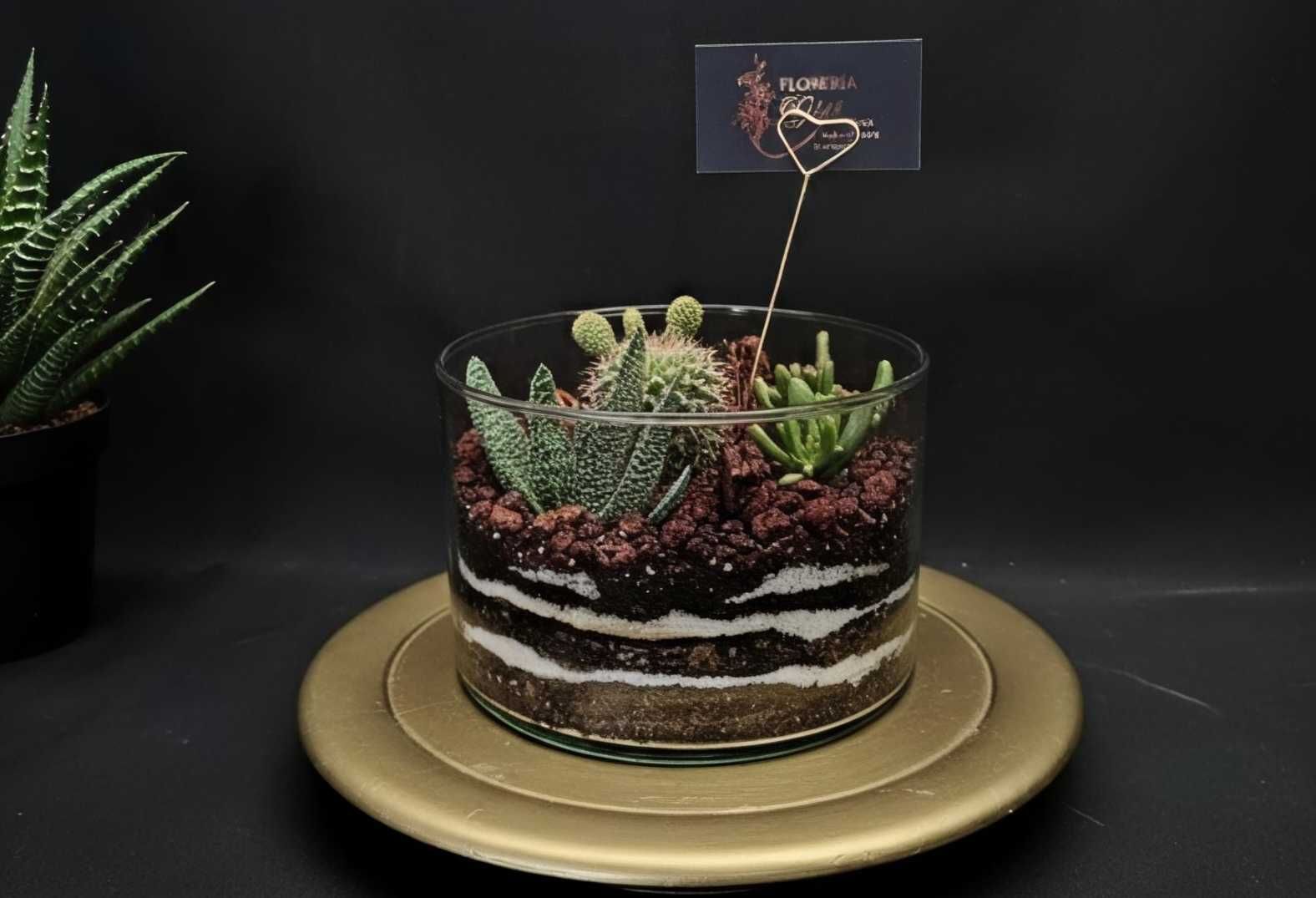 Floreria gigi- terrarios vivos