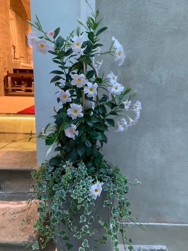 allestimento per cerimonie