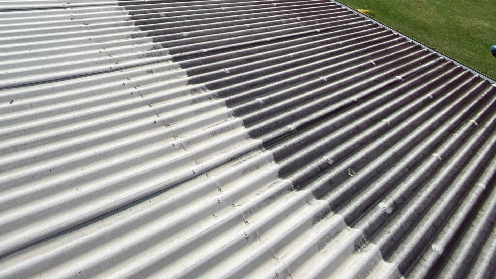 Soft wash roof cleaning removing moss and lichen from tile roof in Warkworth Rodney