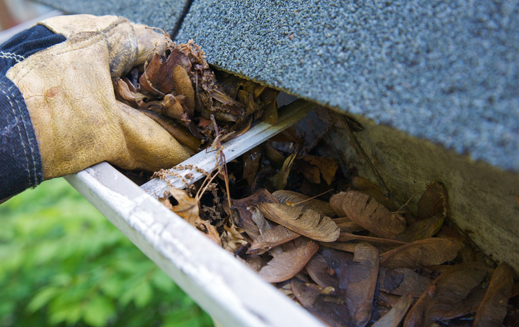 A person is cleaning a gutter of leaves from a roof.