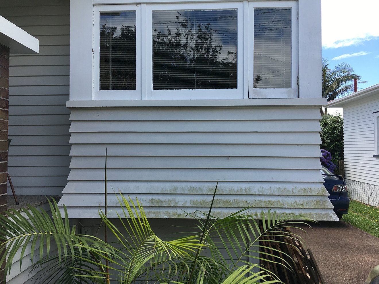 Soft washing mould from weatherboard home in Warkworth