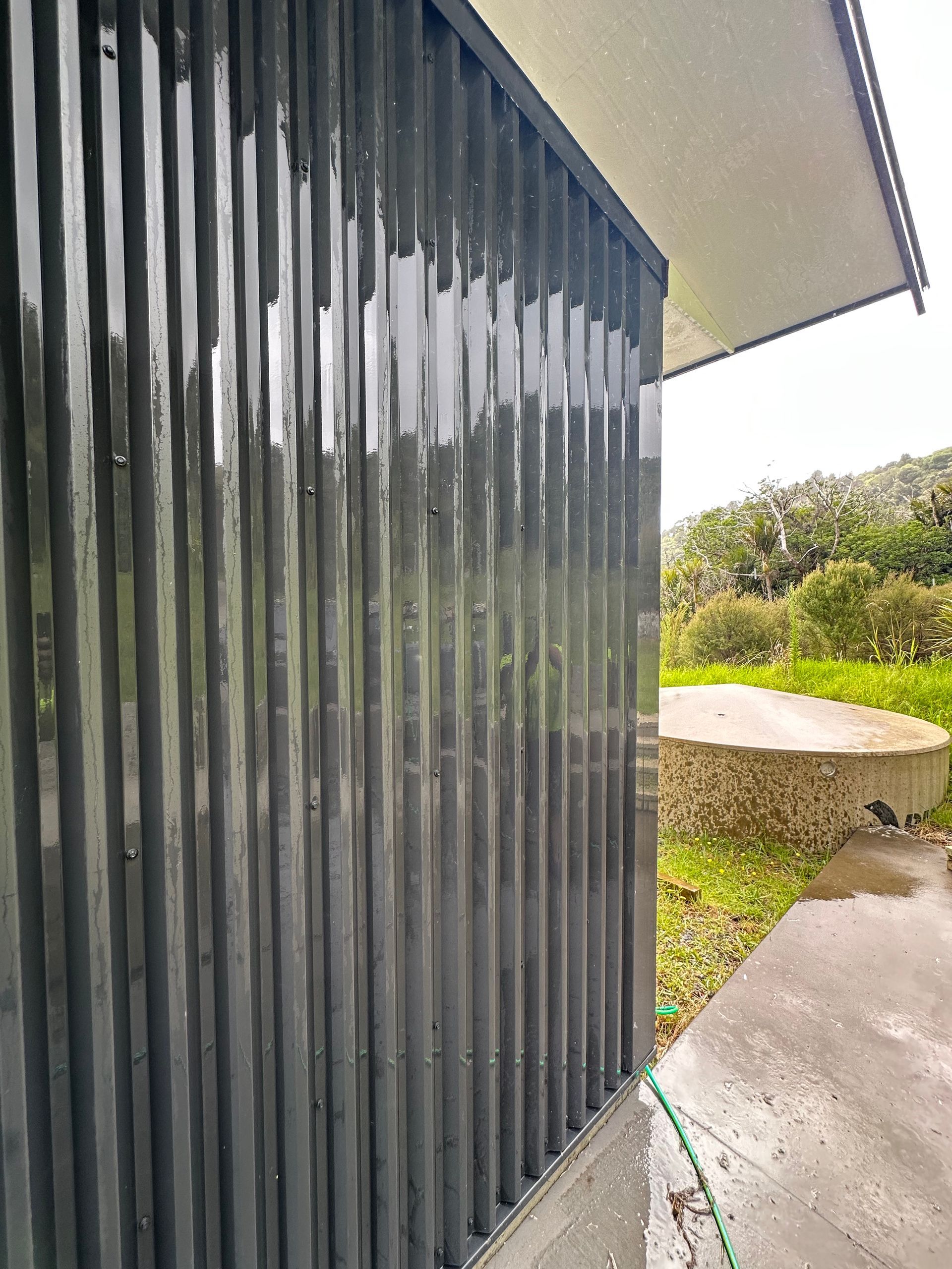 Spider Treatment After