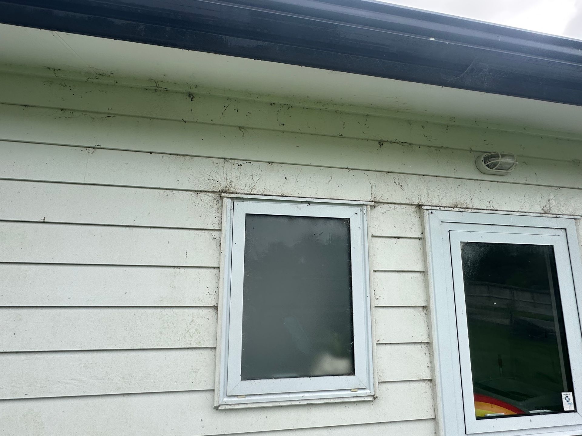 spider webs making things look dirty