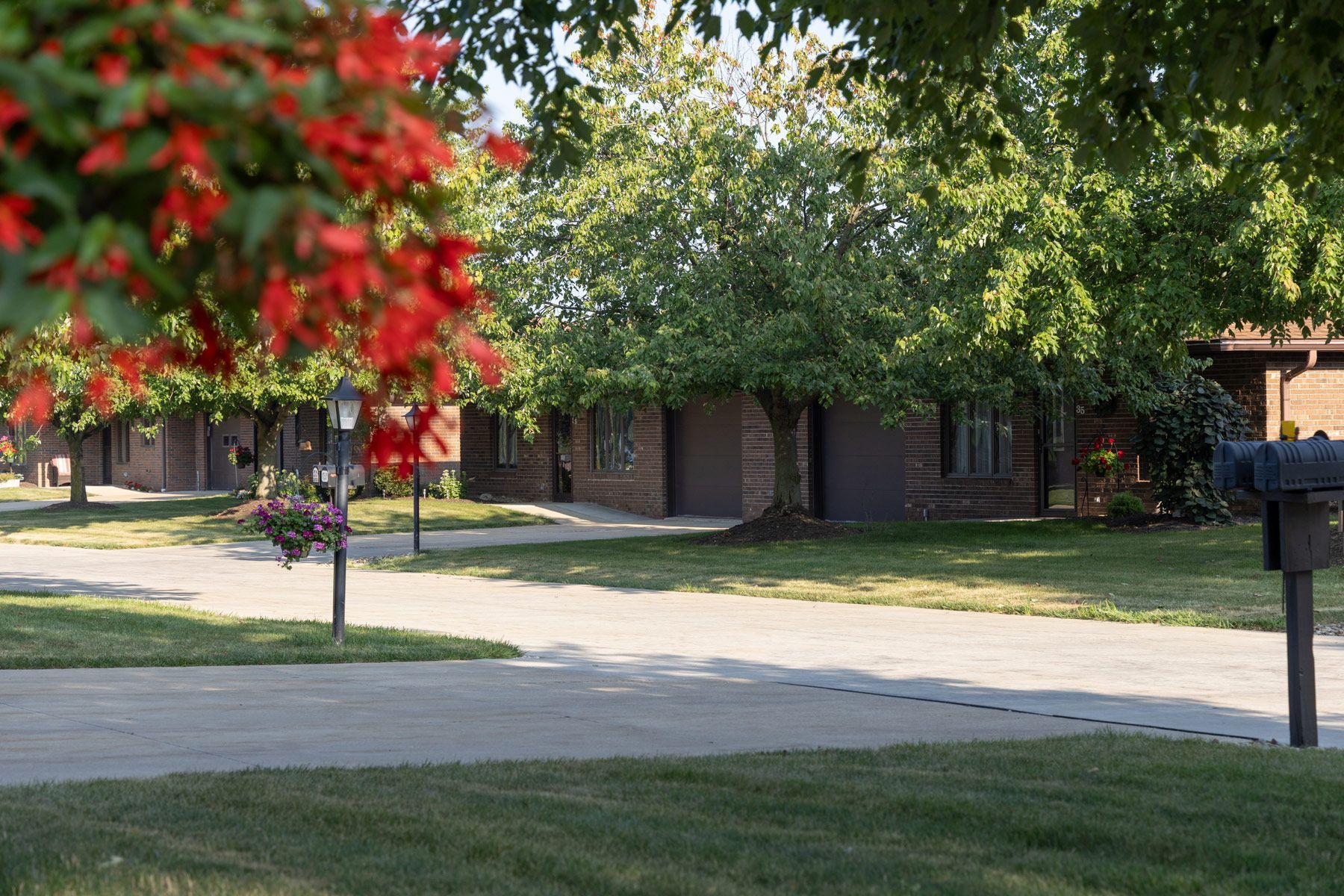 Lined row of brick buildings on a sunny day. Red flowers, green trees, and a paved walkway.