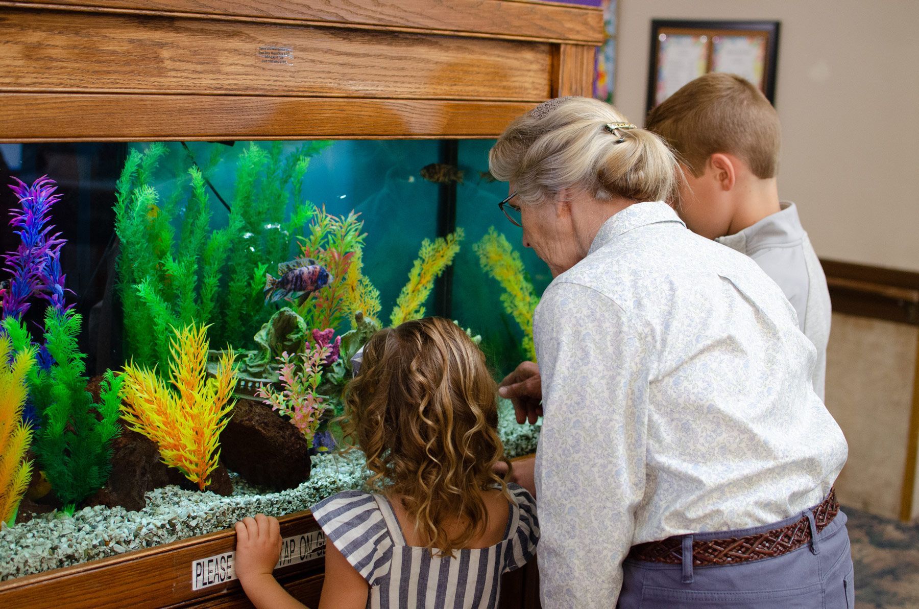 Woman and two children looking at fish in a large aquarium; colorful plants, wooden frame.