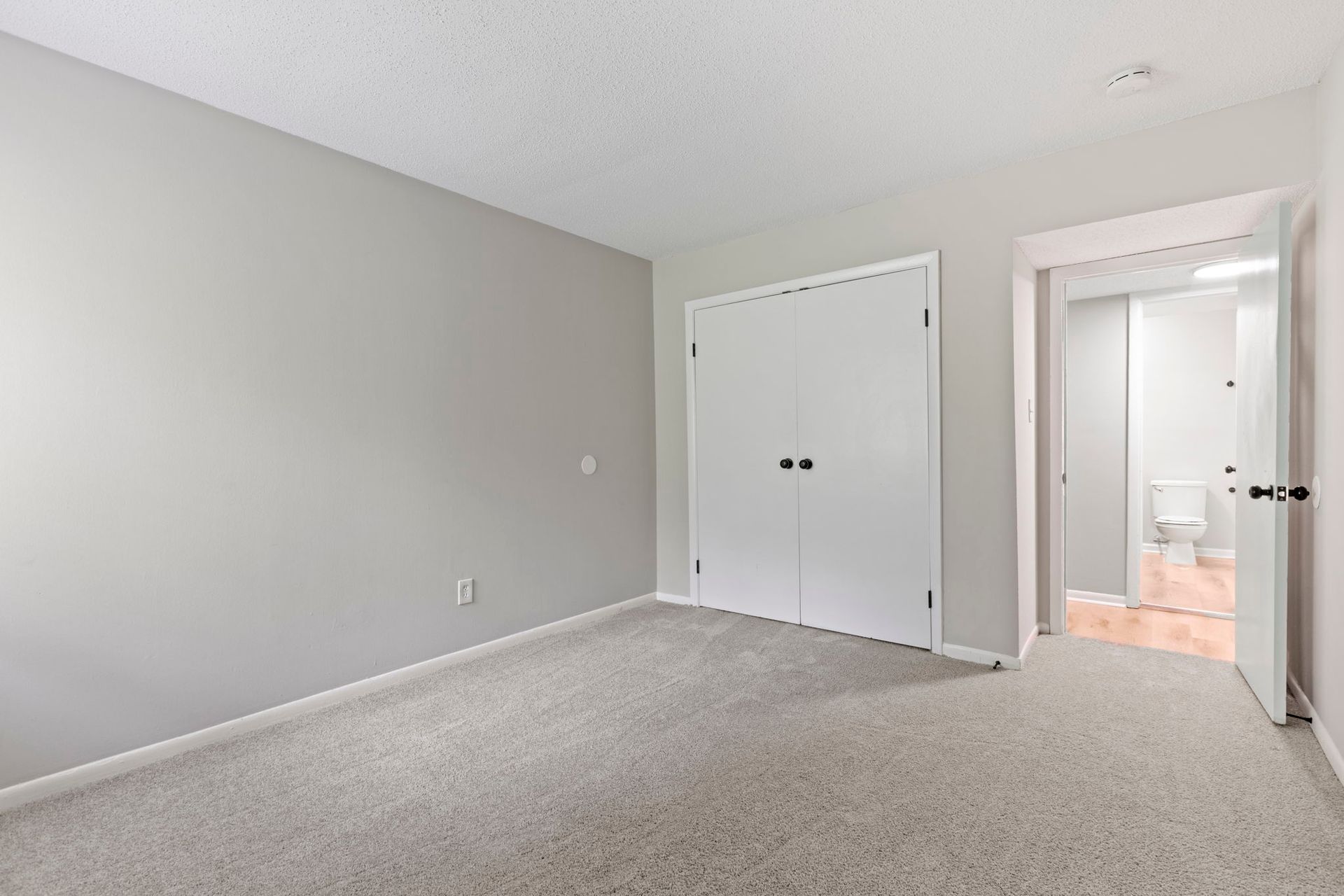 Empty bedroom with gray walls, carpet, closet, and doorway to a bathroom.