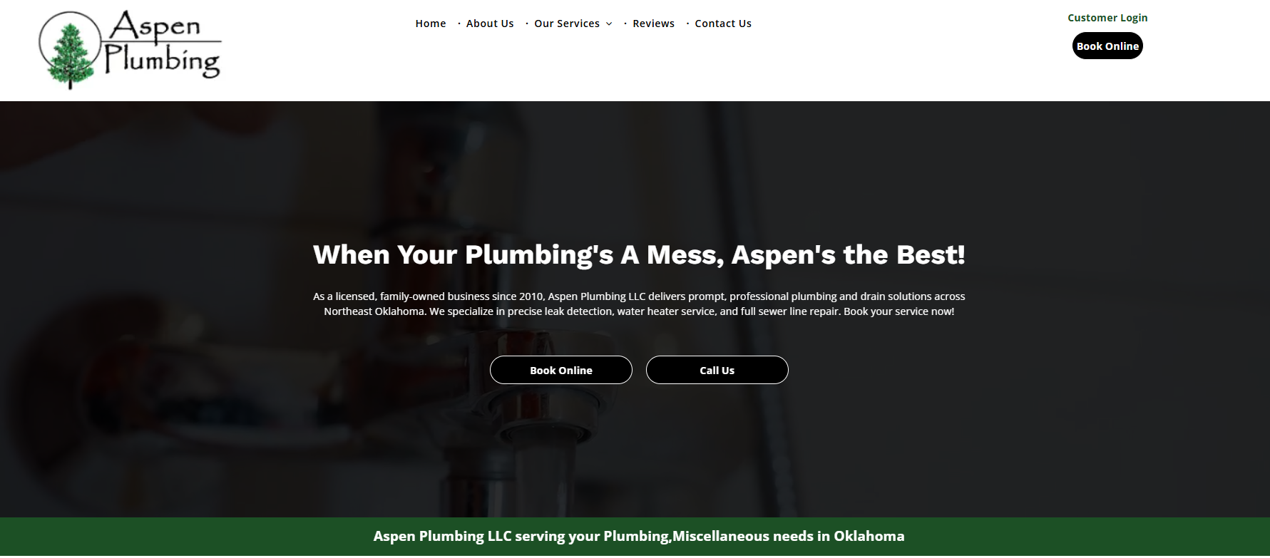 Aspen Plumbing