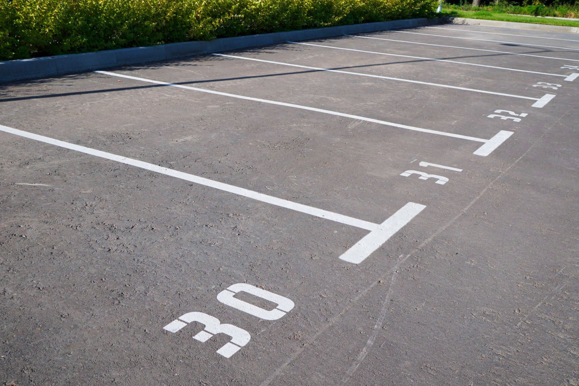 Empty parking lot with white numbered spaces and painted lines on asphalt, bordered by green bushes