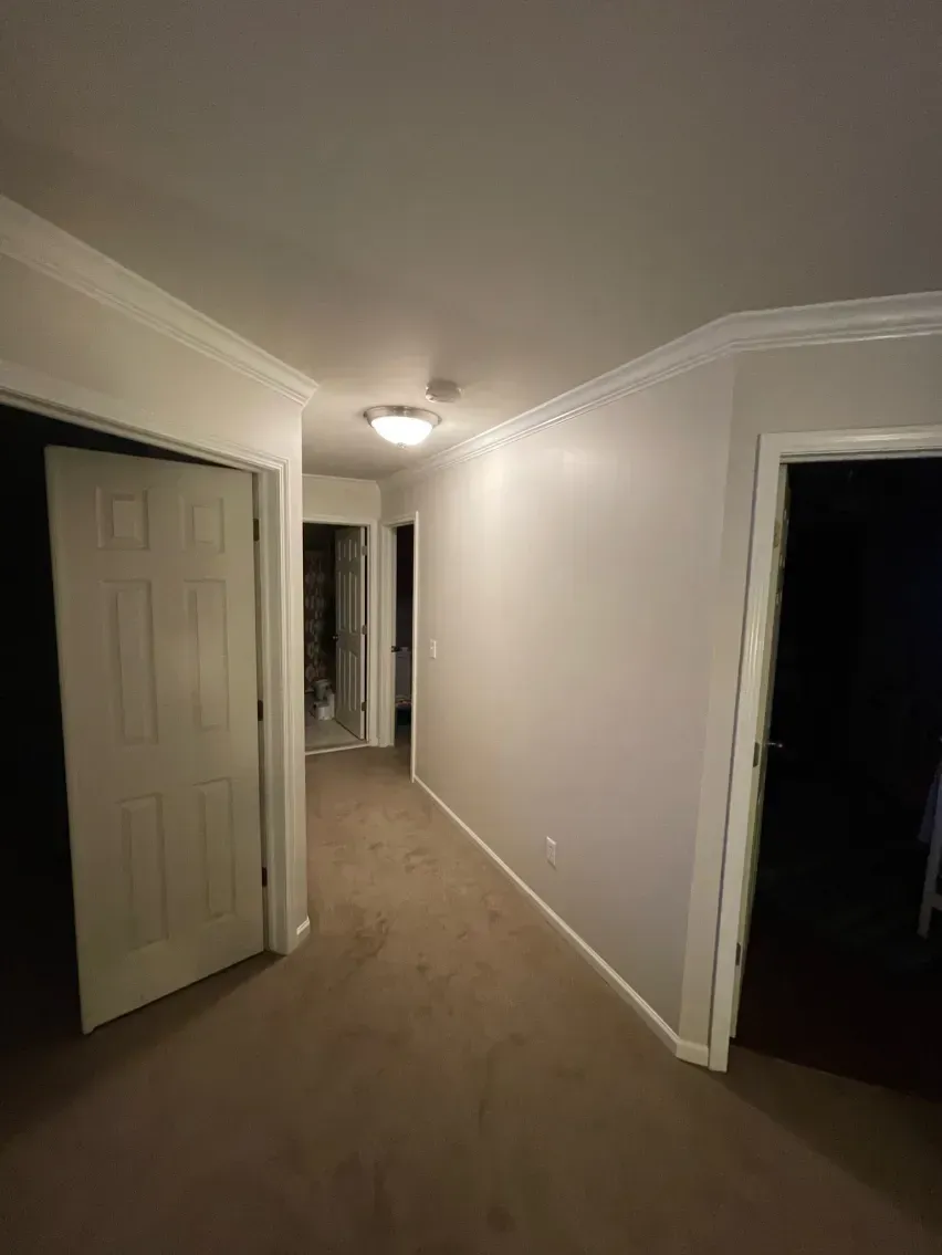 Hallway with closed white doors, tan carpet, and a light fixture on the ceiling.