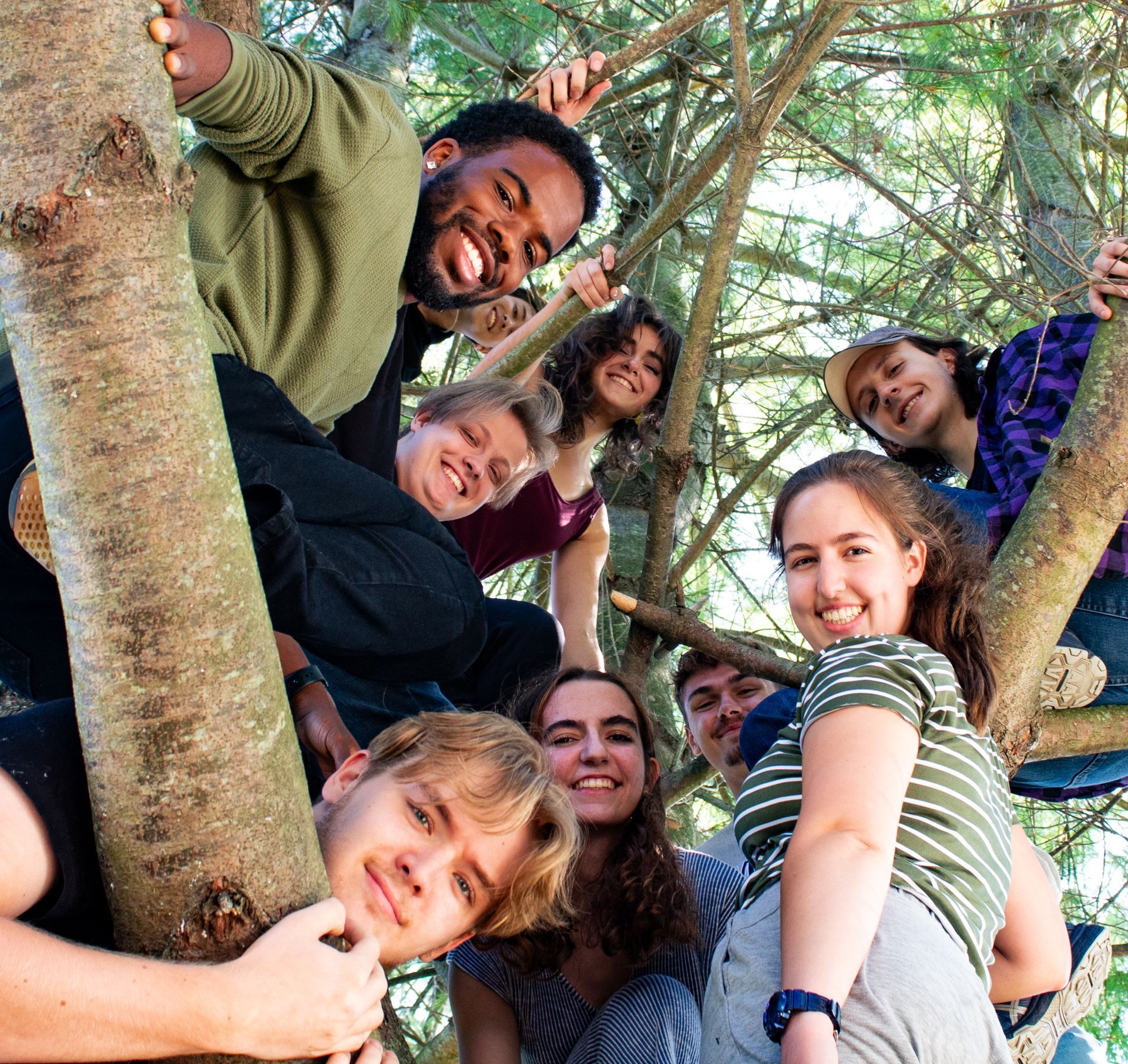 A group of people are posing for a picture in a tree