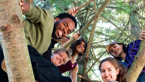 students smiling in a tree on campus
