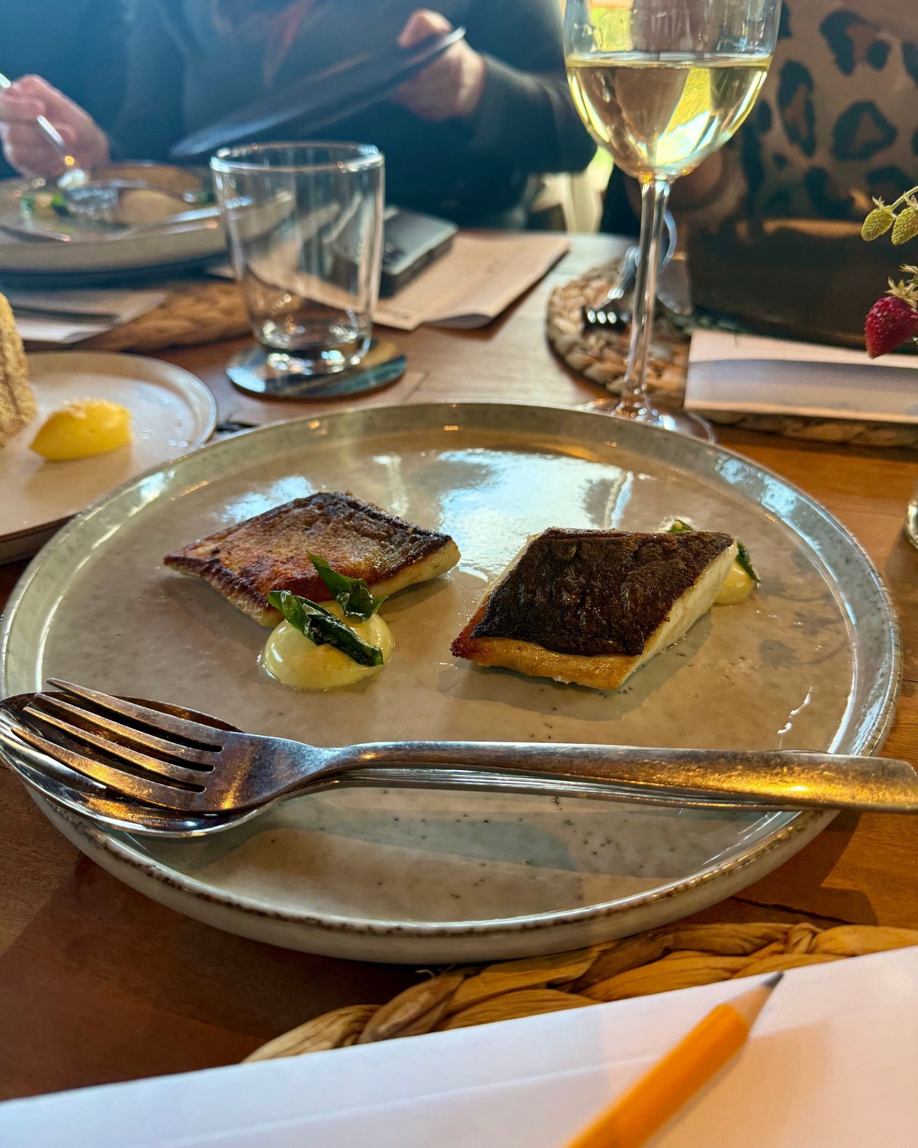Crisp skin seared yellowtail with lemon verbena aioli and layered salad at Meuse Farm wine pairing evening in Hout Bay