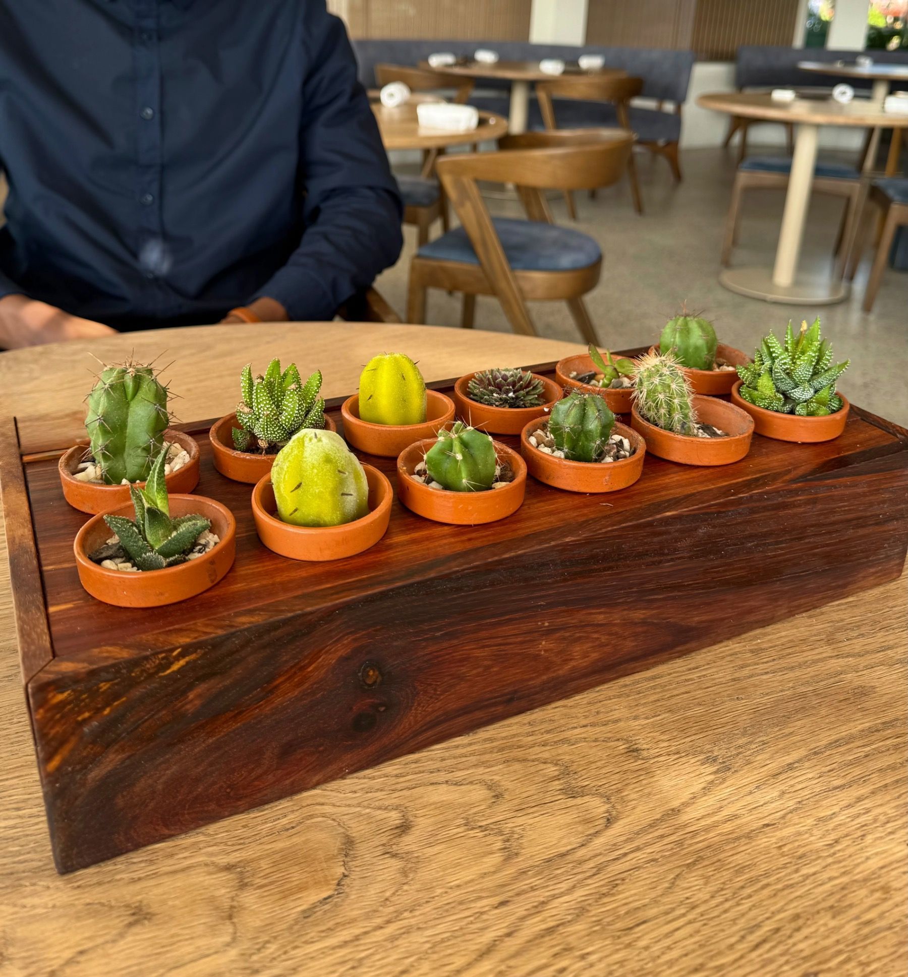 Cactus sorbet palate cleanser served between courses at The Waterside.
