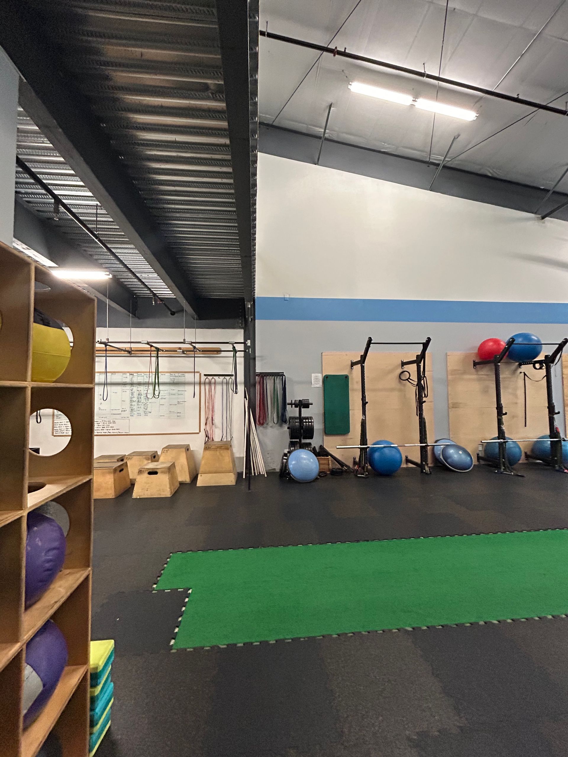 Indoor gym featuring a shelving unit with colored balls, workout stations, exercise balls, and a green mat on a black floor.