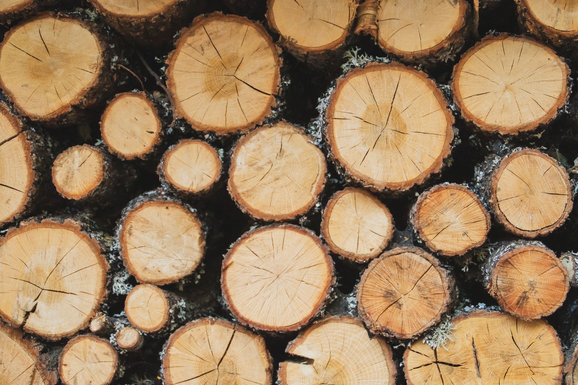 A stack of round, textured log ends in various sizes, showing wood grain and rings.