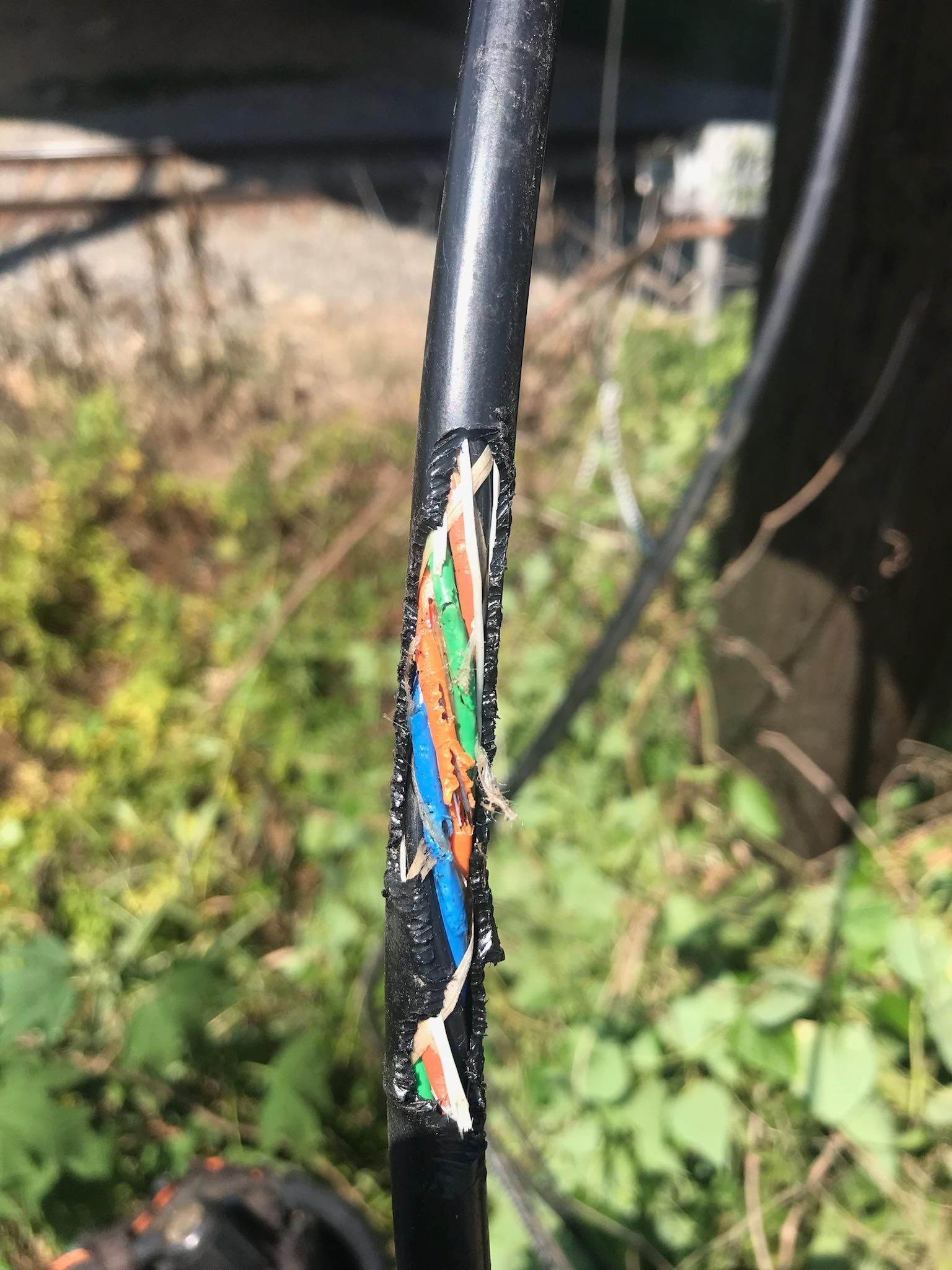 A close up of a broken cable in the grass.