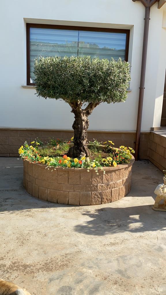 impresa edile P &  C