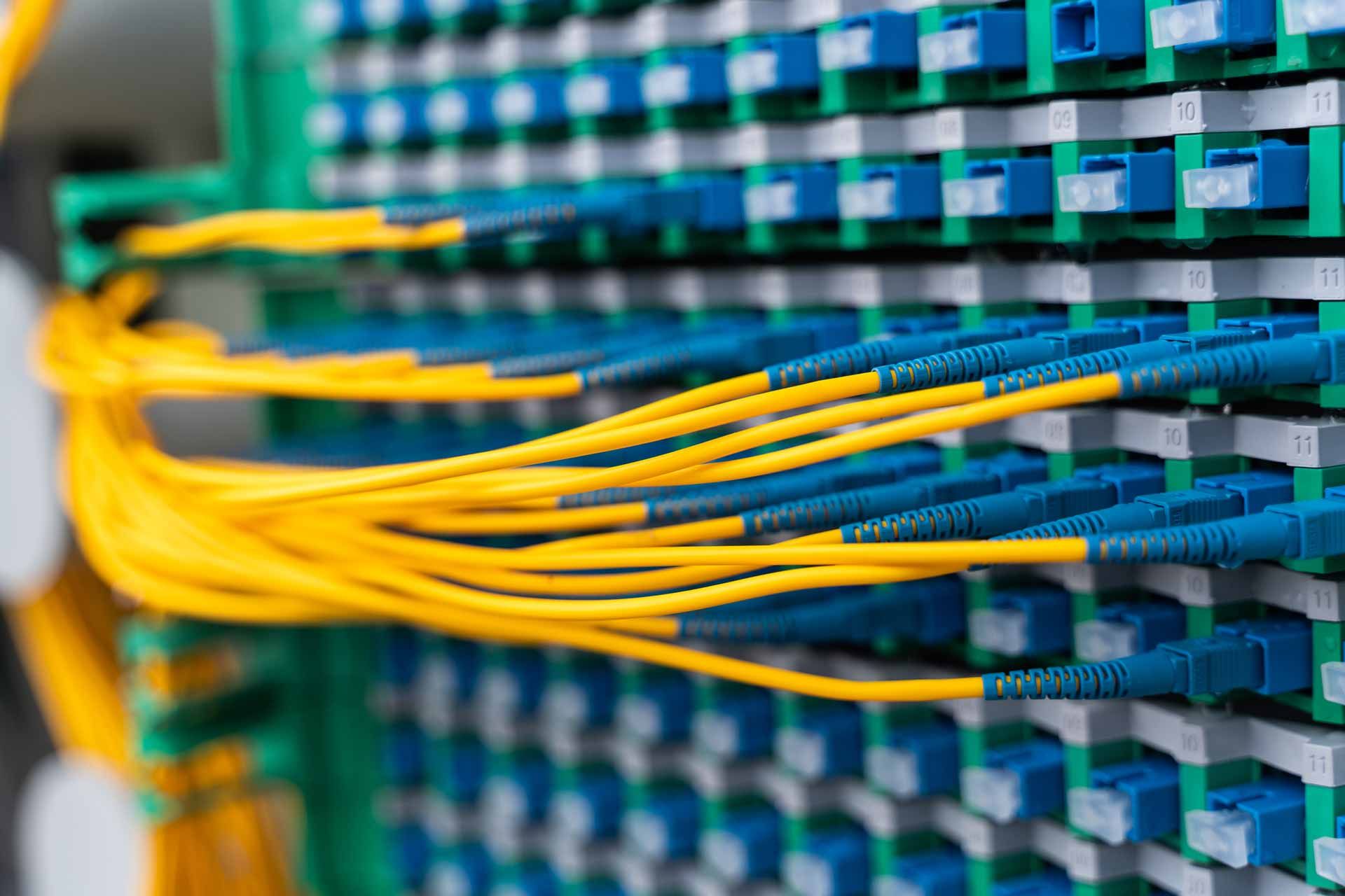 Close-up of a server rack with yellow and blue fiber optic cables connected to blue and green panels.