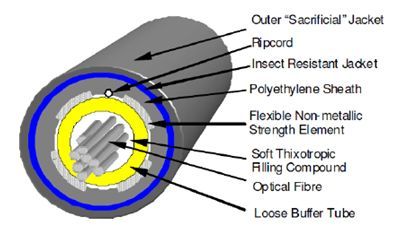 Cross-section of a fiber optic cable with labeled components like jacket, buffer tube, and optical fibers