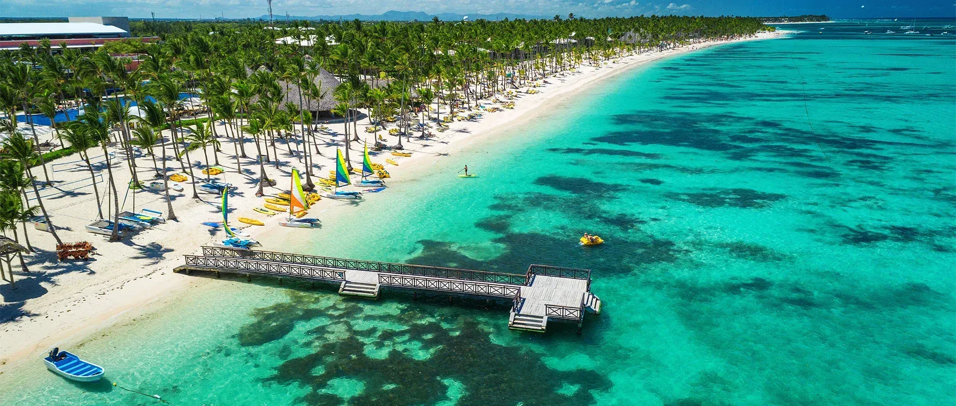 Dos guacamayos azules y dorados posados ​​en una rama frente a la vegetación.