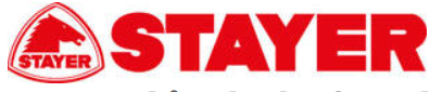 Stayer