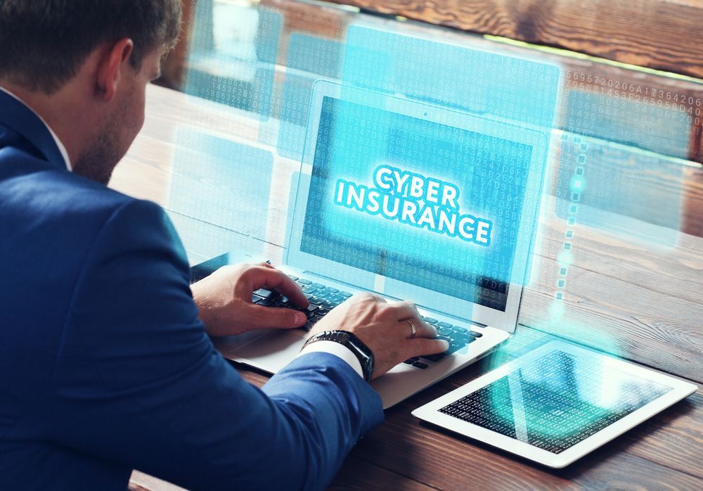 Professional  Doing Cyber Insurance