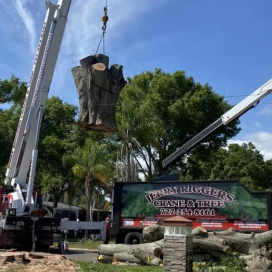 A large tree stump is being lifted by a crane in front of a very biggers sign