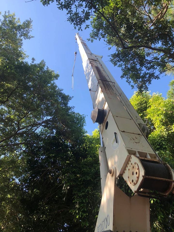 A large white crane is sitting in the middle of a forest.
