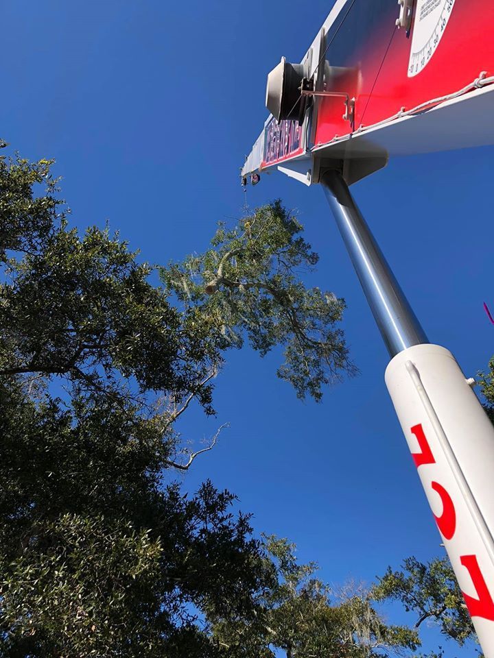 A red and white sign on a pole with trees in the background