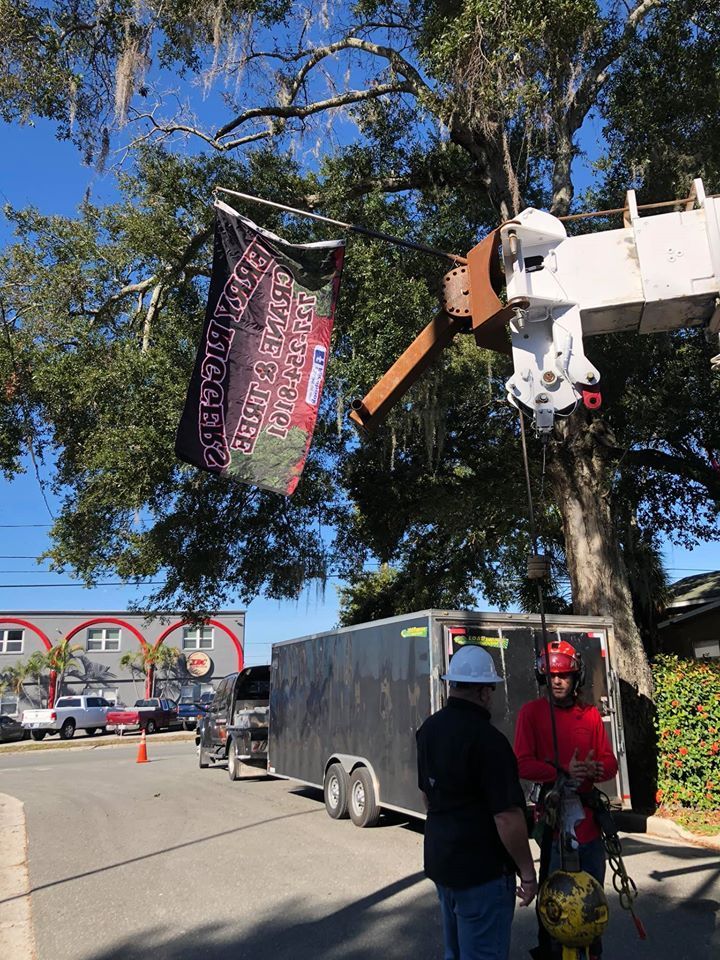 A man is standing next to a crane that is cutting a tree.