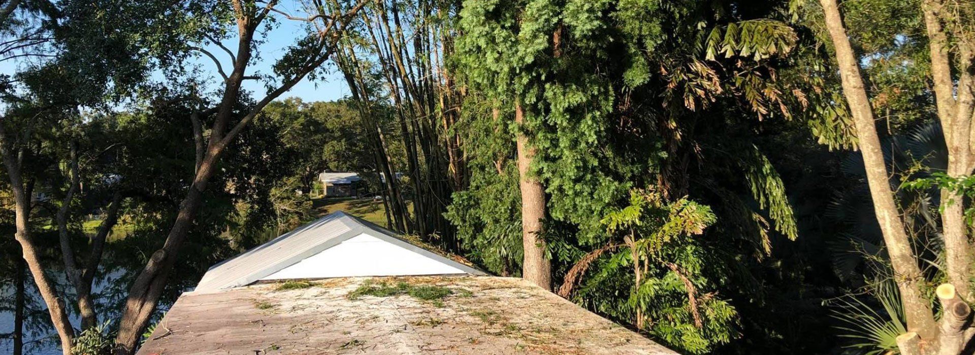 A bridge over a body of water surrounded by trees.