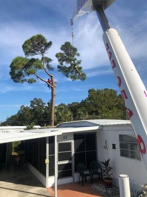 A crane is cutting a tree in front of a house.