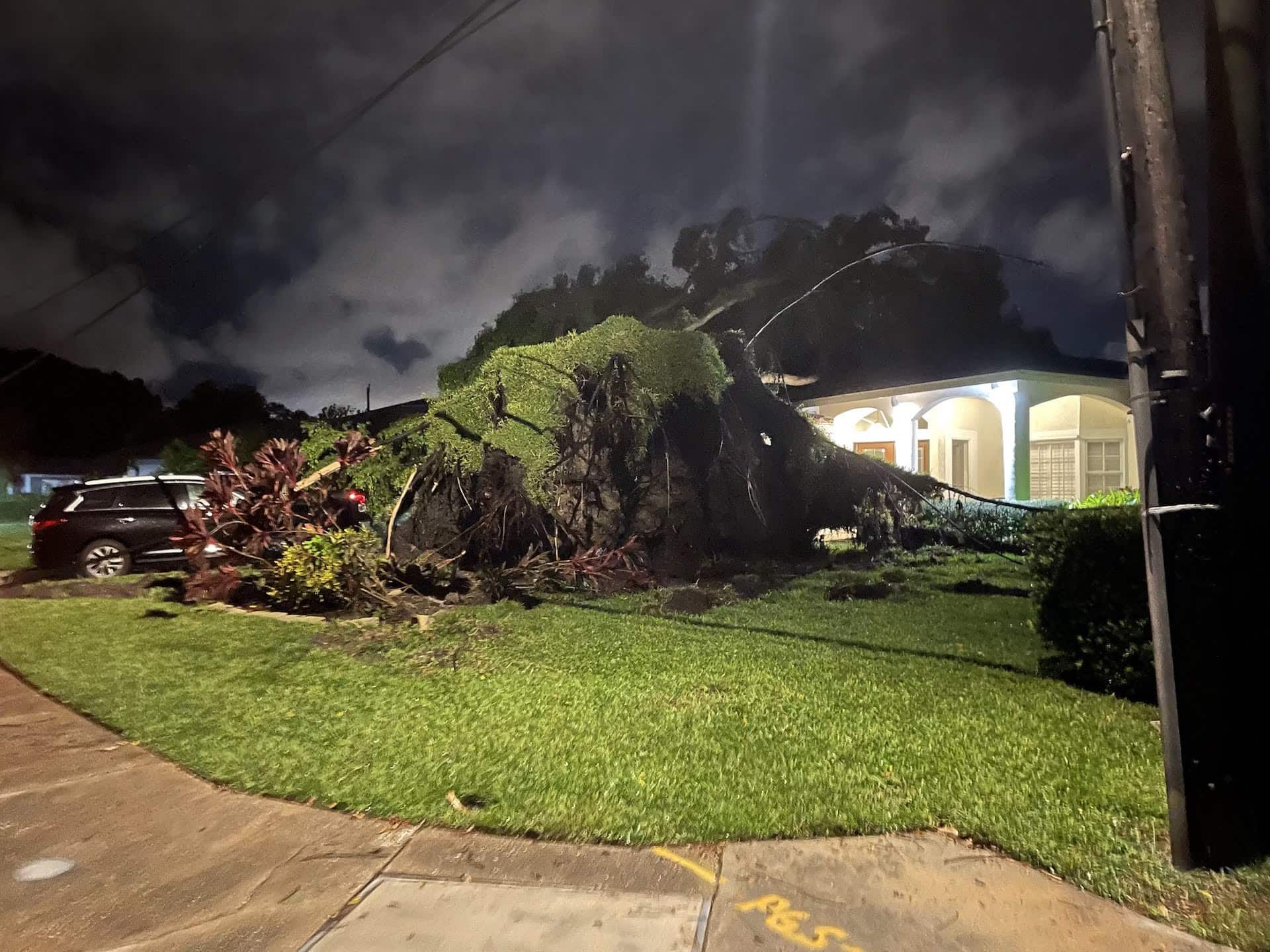 A tree that has fallen on a house at night.