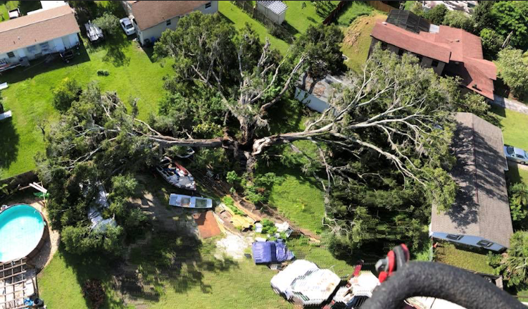 An aerial view of a tree that has fallen in a residential area.