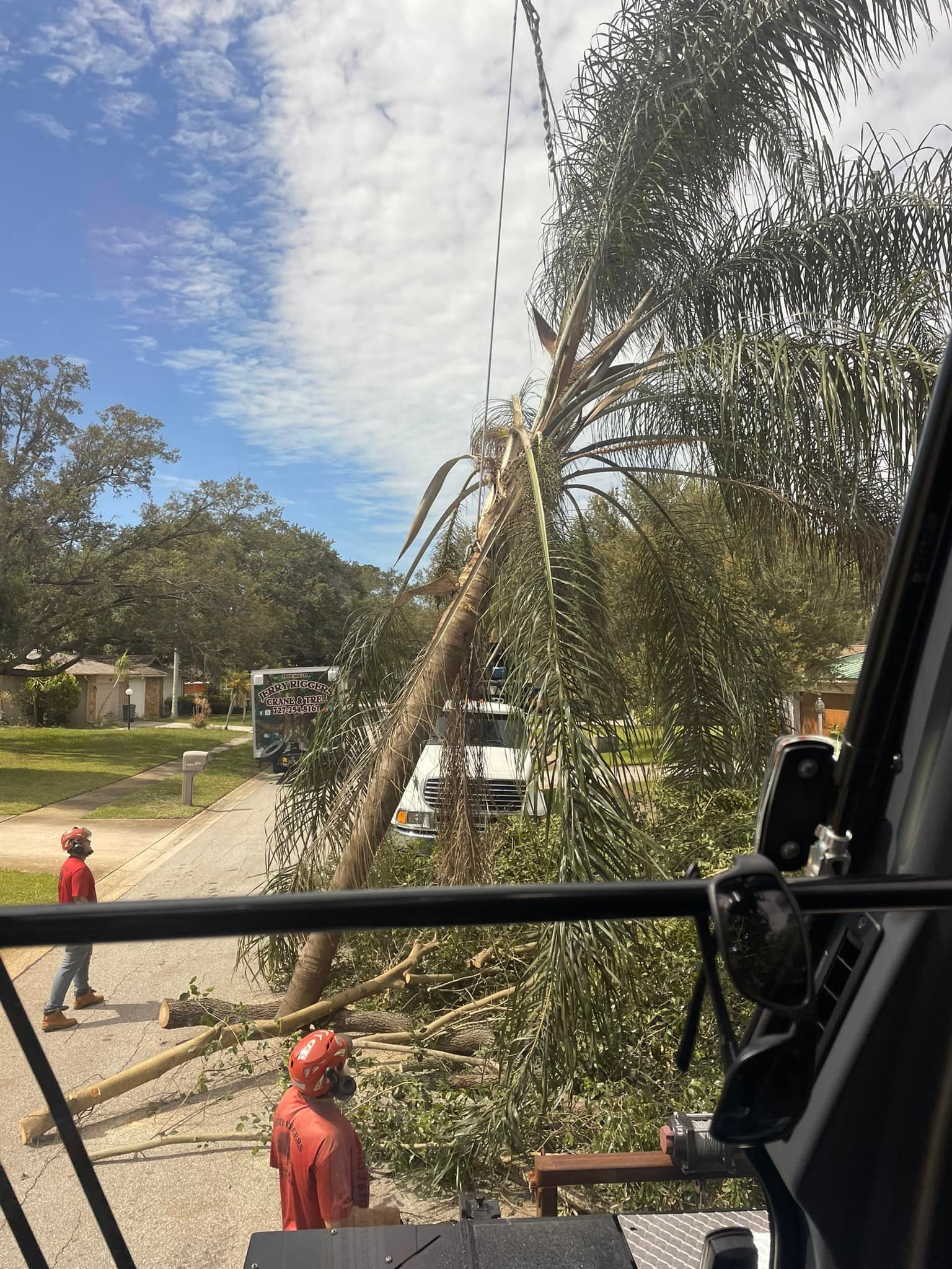 A helicopter is flying over a tree that has fallen on the ground.