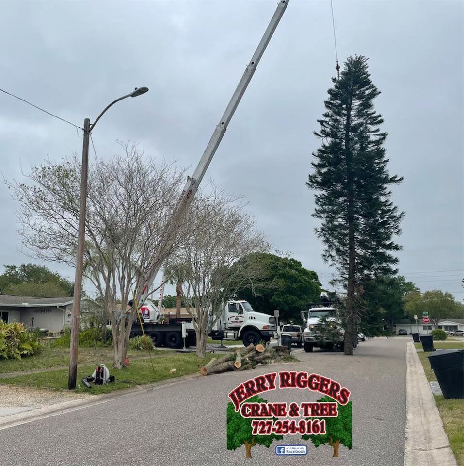 A sign for jerry rigger 's crane and tree