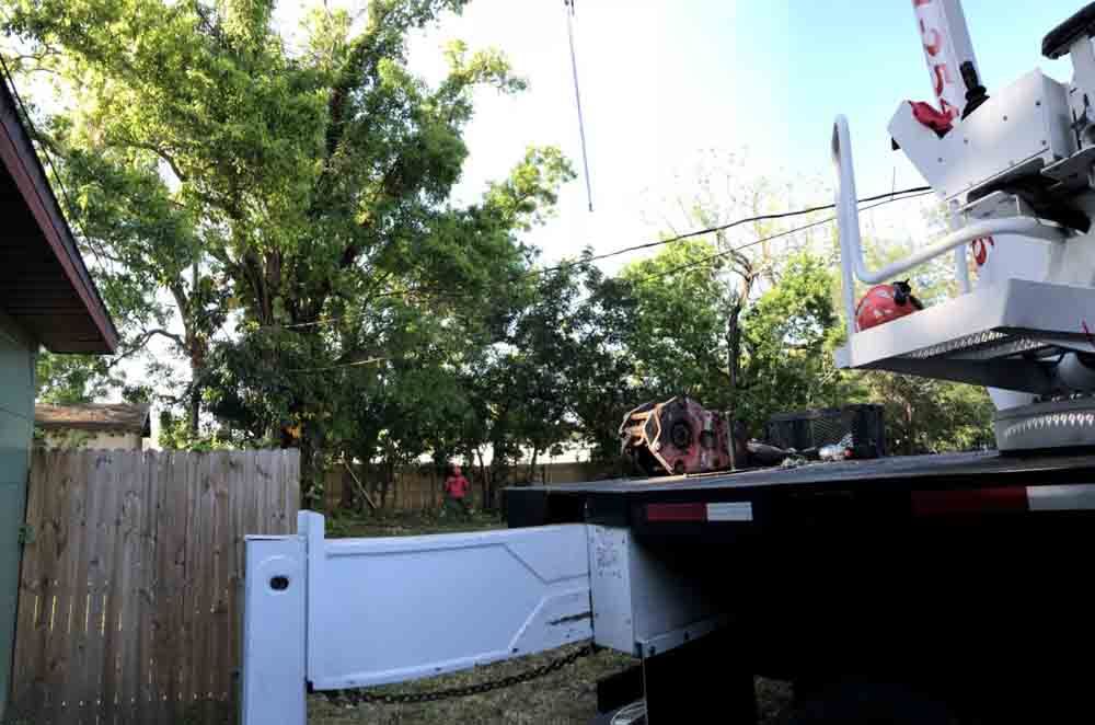 A crane is lifting a tree in a backyard.