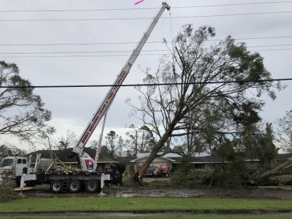 A crane is lifting a tree in front of a house.