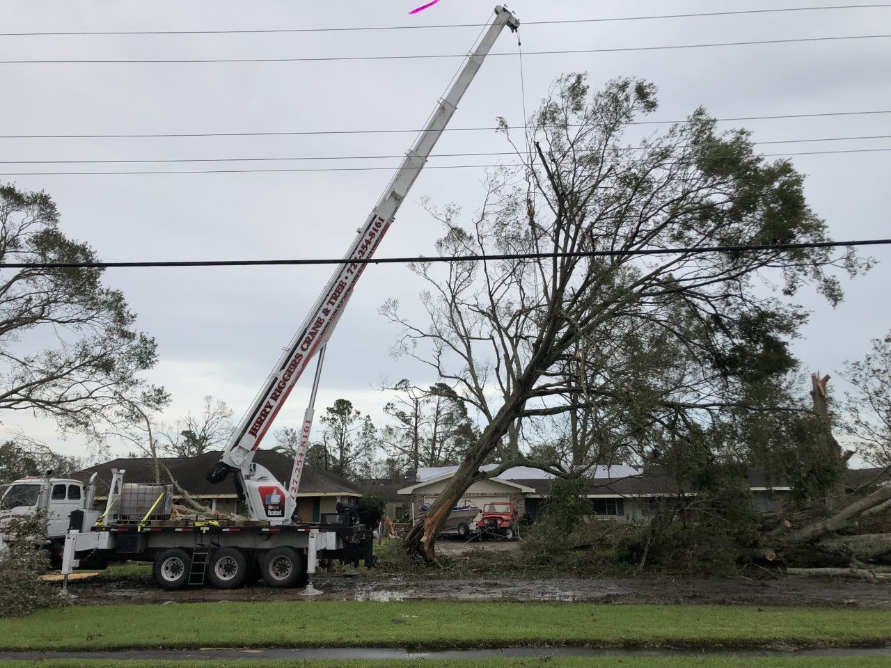 A large crane is lifting a tree in the middle of a street