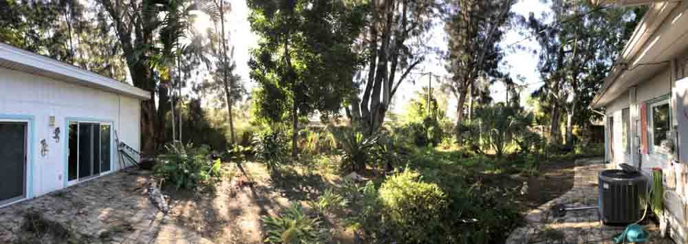 A panoramic view of a house surrounded by trees and bushes.