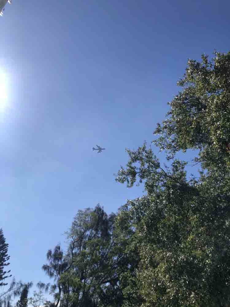 A plane is flying in the sky above trees.