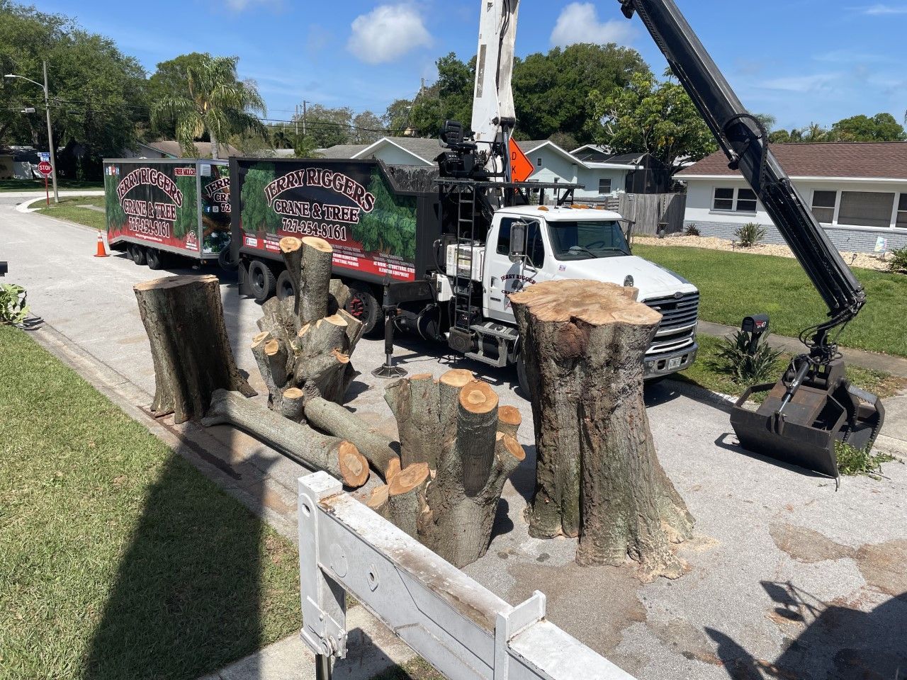 A truck with a crane attached to it is cutting down a tree.
