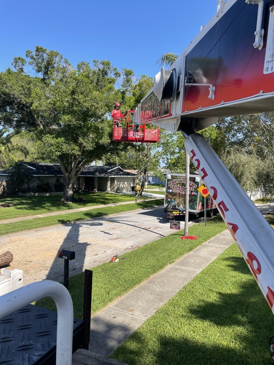 A crane is lifting a tree in a residential area