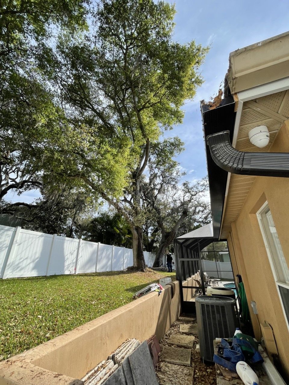 A tree is growing in the backyard of a house.